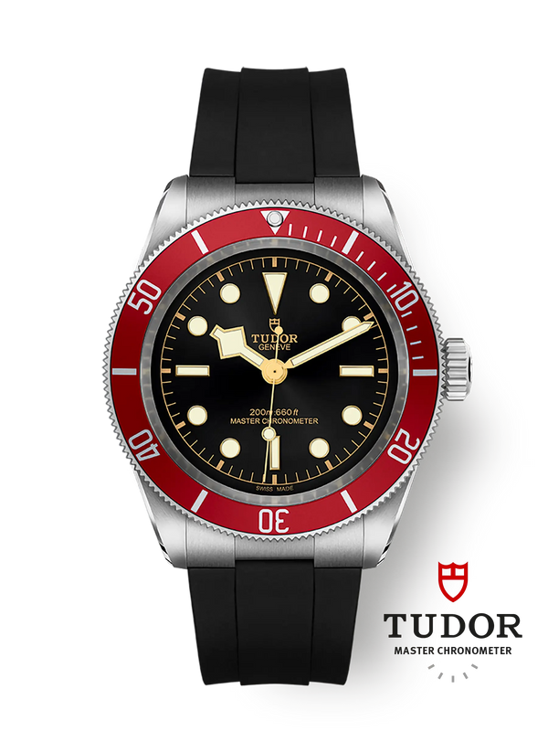 tudor-m7941a1a0ru-0002 (1)