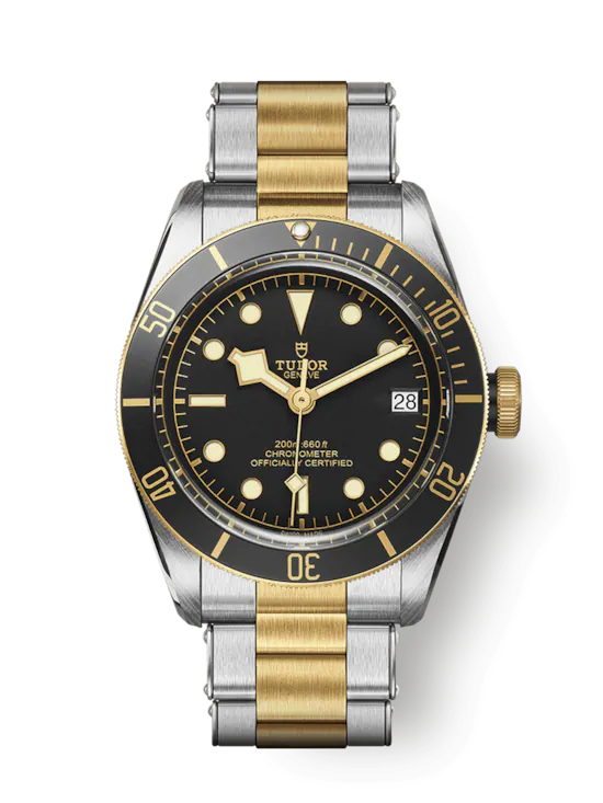 tudor-m79733n-00081